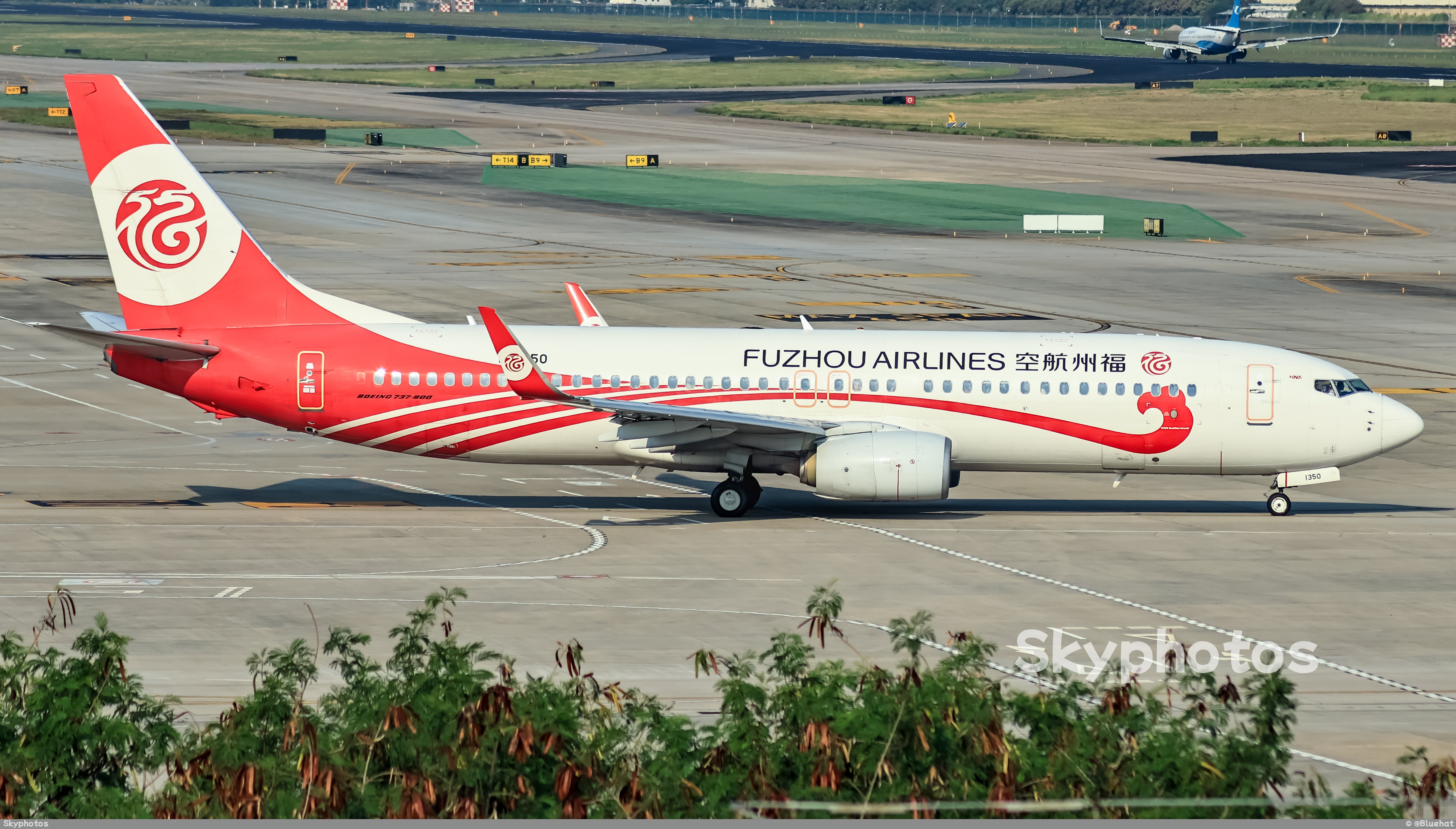 福州航空 B737-800(WL)